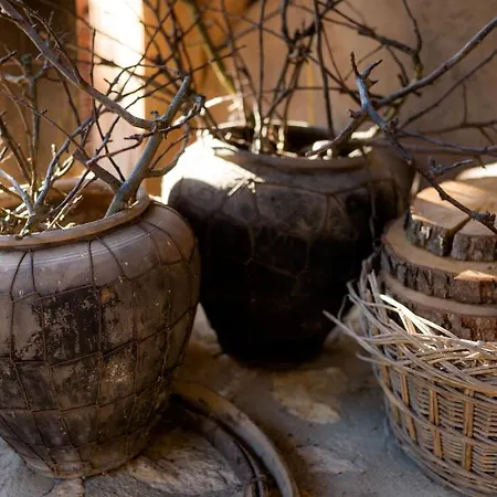 Bed & Breakfast Tourist Farm Firbas Cerkvenjak