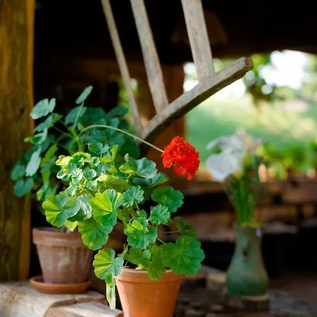 Bed & Breakfast Tourist Farm Firbas *