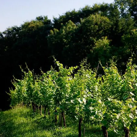 Tourist Farm Firbas * Cerkvenjak