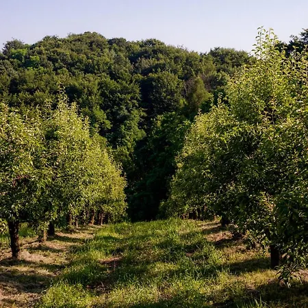 Tourist Farm Firbas Cerkvenjak