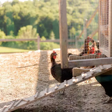 Bed & Breakfast Tourist Farm Firbas Cerkvenjak