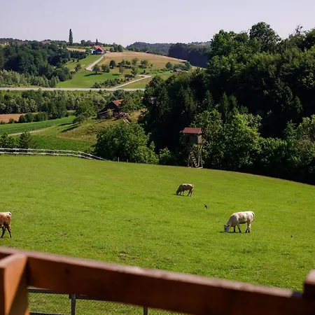 Panzió Tourist Farm Firbas