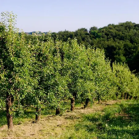 Tourist Farm Firbas Cerkvenjak
