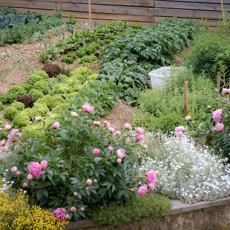 Tourist Farm Firbas Oda ve Kahvaltı Cerkvenjak