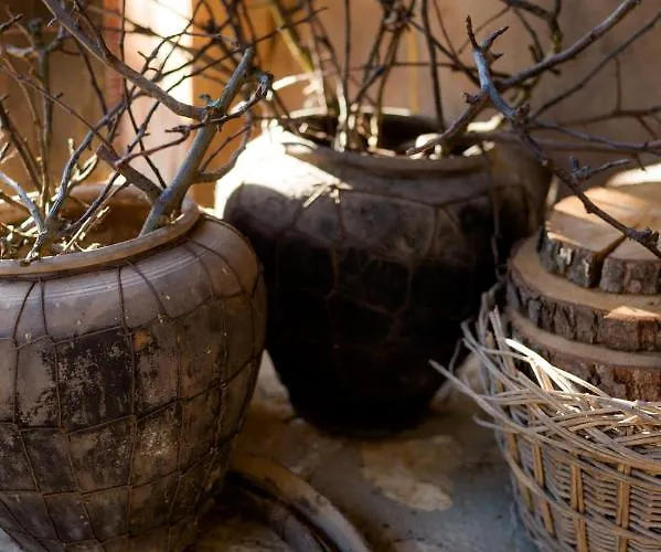 Bed & Breakfast Tourist Farm Firbas Cerkvenjak