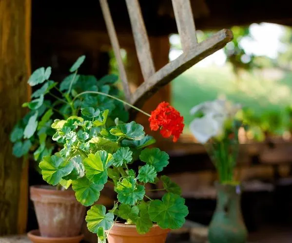 فندق مبيت وإفطار Tourist Farm Firbas *