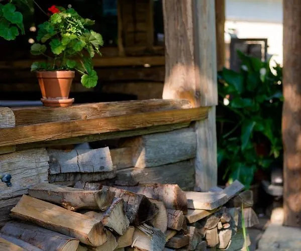 Tourist Farm Firbas فندق مبيت وإفطار Cerkvenjak