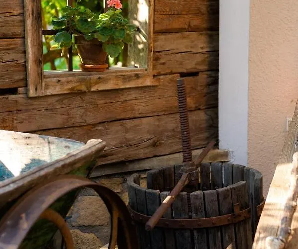 Tourist Farm Firbas *