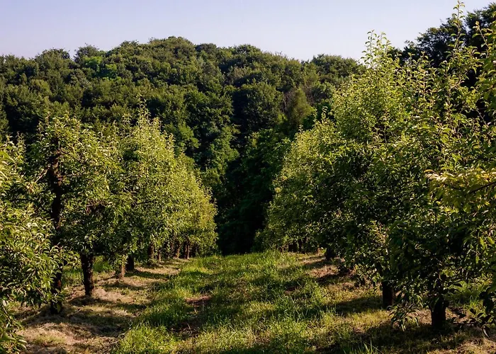 Tourist Farm Firbas Cerkvenjak