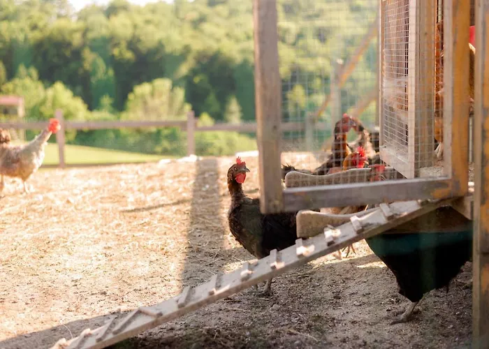 فندق مبيت وإفطار Tourist Farm Firbas Cerkvenjak