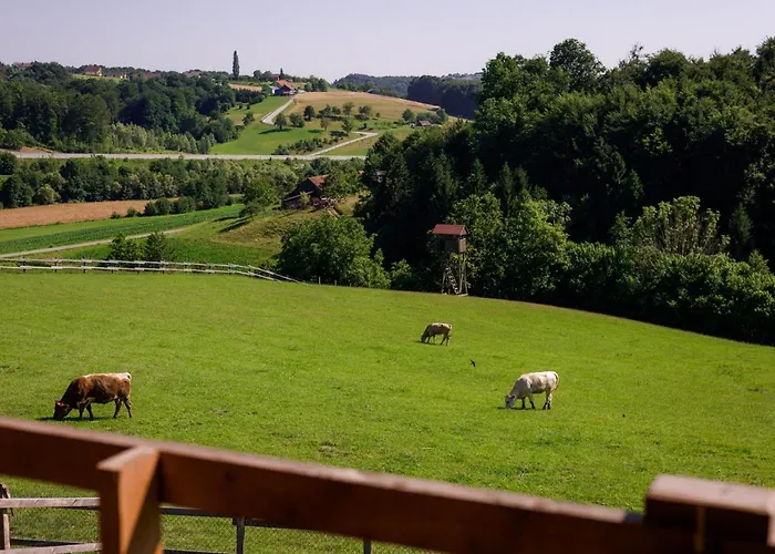 فندق مبيت وإفطار Tourist Farm Firbas