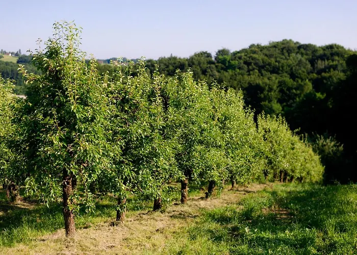 Tourist Farm Firbas Cerkvenjak